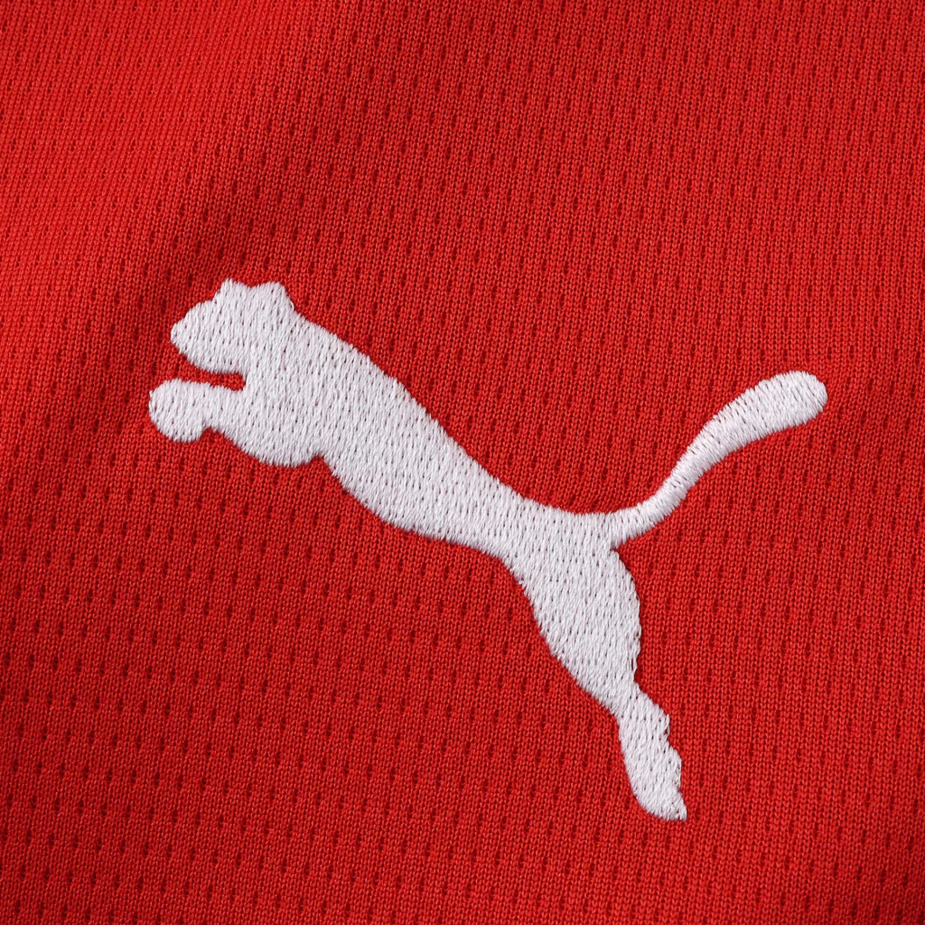 UNIFORME AUSTRIA HOME 2026